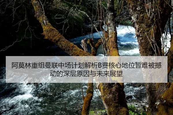 阿莫林重组曼联中场计划解析B费核心地位暂难被撼动的深层原因与未来展望