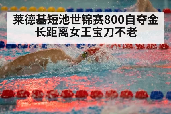 swimming freestyle race