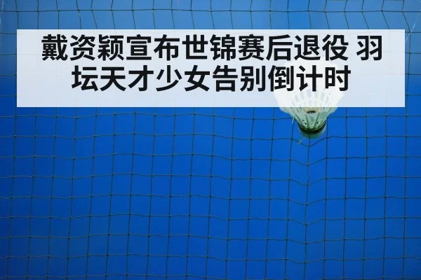 badminton court net