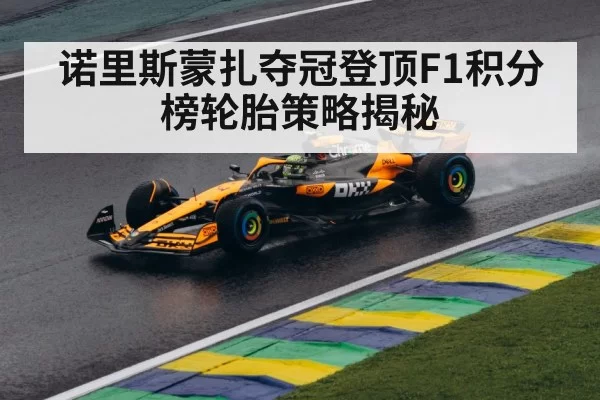 诺里斯蒙扎夺冠登顶F1积分榜轮胎策略揭秘